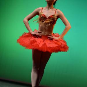 Fotografía de La primavera es danza - Grupo de Danza Tiempo Presente