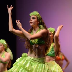Fotografía de La primavera es danza - Grupo de Danza Tiempo Presente