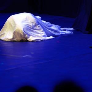 Fotografía de Muestra final CAU. El canto del cisne - CAU