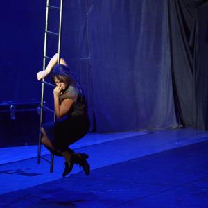 Fotografía de Muestra final CAU. El canto del cisne - CAU