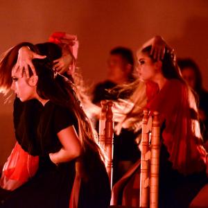 Fotografía de Andante al bies (conservatorio) - Conservatorio de Danza