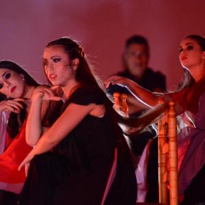 Fotografía de Andante al bies (conservatorio) - Conservatorio de Danza