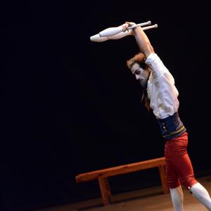 Fotografía de Muestra final CAU. El canto del cisne - CAU
