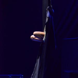 Fotografía de Muestra final CAU. El canto del cisne - CAU