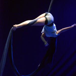 Fotografía de Muestra final CAU. El canto del cisne - CAU