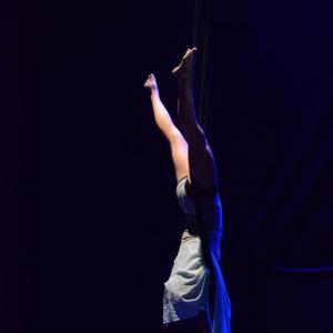 Fotografía de Muestra final CAU. El canto del cisne - CAU
