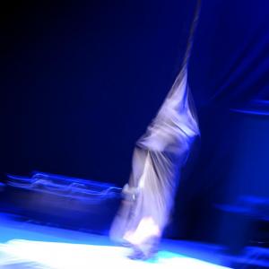 Fotografía de Muestra final CAU. El canto del cisne - CAU
