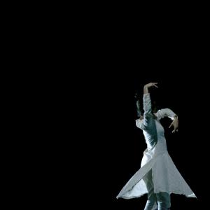 Fotografía de Regnum (Reino) [previo]  - Conservatorio de Danza