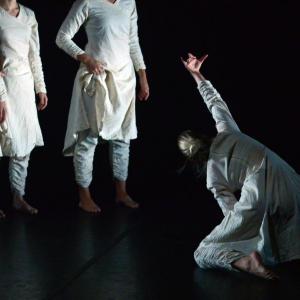 Fotografía de Regnum (Reino) [previo]  - Conservatorio de Danza