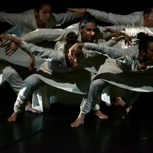 Fotografía de Regnum (Reino) [previo]  - Conservatorio de Danza