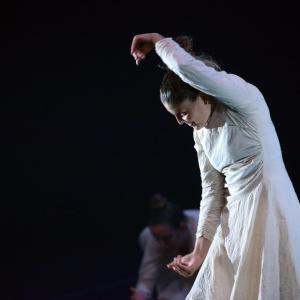 Fotografía de Regnum (Reino) [previo]  - Conservatorio de Danza