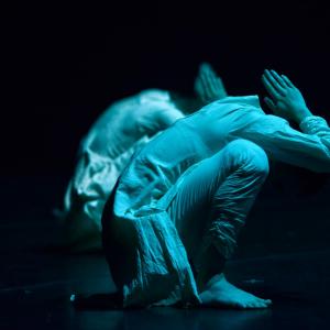 Fotografía de Regnum (Reino) [previo]  - Conservatorio de Danza