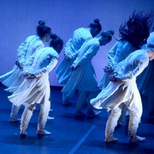 Fotografía de Regnum (Reino) [previo]  - Conservatorio de Danza