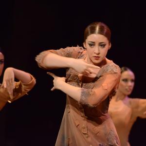 Fotografía de Andanzas - Conservatorio de Danza