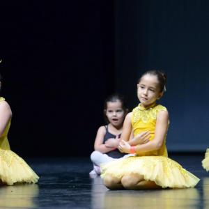 Fotografía de Fesdance Granada (galería 1) - 