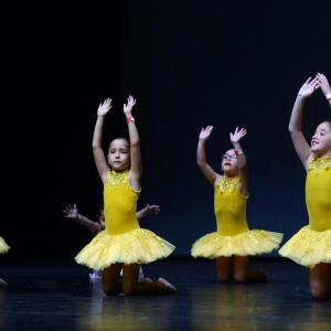 Fotografía de Fesdance Granada (galería 1) - 
