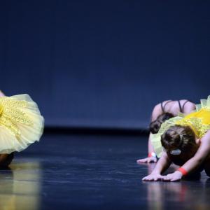 Fotografía de Fesdance Granada (galería 1) - 