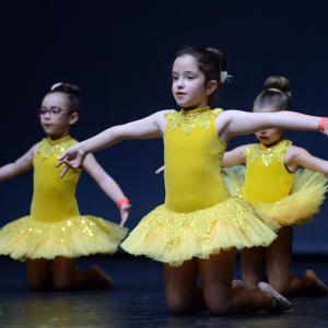 Fotografía de Fesdance Granada (galería 1) - 