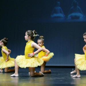 Fotografía de Fesdance Granada (galería 1) - 