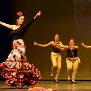 Fotografía de Fesdance Granada (galería 1) - 