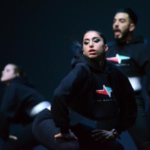 Fotografía de Fesdance Granada (galería 2) - 