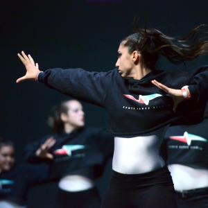 Fotografía de Fesdance Granada (galería 2) - 