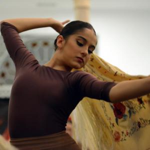Fotografía de Flamenco y Cultura 2017 - Conservatorio de Danza
