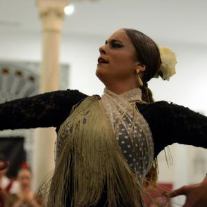 Fotografía de Flamenco y Cultura 2017 - Conservatorio de Danza