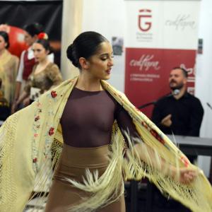 Fotografía de Flamenco y Cultura 2017 - Conservatorio de Danza