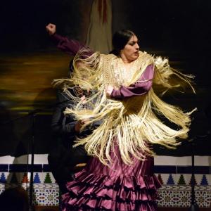 Fotografía de Jueves flamenco en La Platería - 