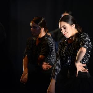 Fotografía de Muestra 10 aniversario FEX - Conservatorio de Danza