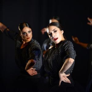 Fotografía de Muestra 10 aniversario FEX - Conservatorio de Danza
