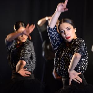 Fotografía de Muestra 10 aniversario FEX - Conservatorio de Danza