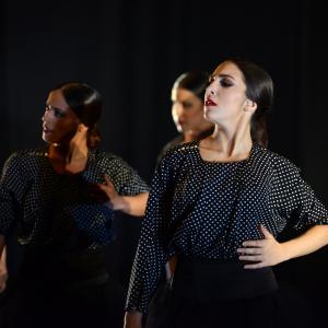 Fotografía de Muestra 10 aniversario FEX - Conservatorio de Danza