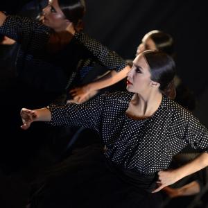 Fotografía de Muestra 10 aniversario FEX - Conservatorio de Danza