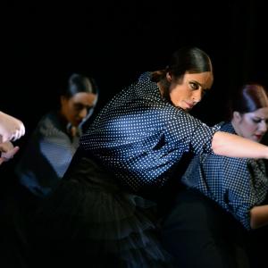 Fotografía de Muestra 10 Aniversario FEX - Conservatorio de Danza