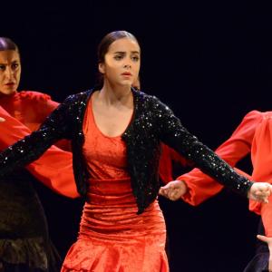 Fotografía de Muestra 10 Aniversario FEX - Conservatorio de Danza