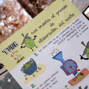 Fotografía de Ecomercado - Ecomercado de Granada