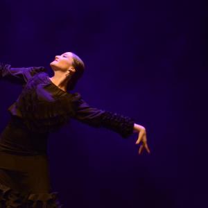 Fotografía de Proyecto Flamenco - Proyecto Flamenco