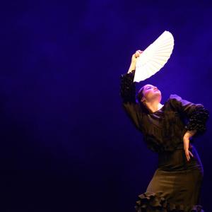 Fotografía de Proyecto Flamenco - Proyecto Flamenco