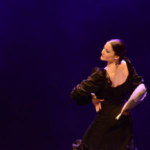 Fotografía de Proyecto Flamenco - Proyecto Flamenco