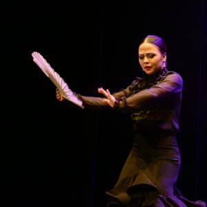 Fotografía de Proyecto Flamenco - Proyecto Flamenco