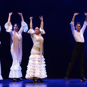 Fotografía de Proyecto Flamenco - Proyecto Flamenco