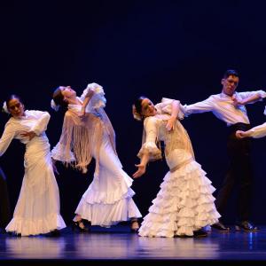 Fotografía de Proyecto Flamenco - Proyecto Flamenco