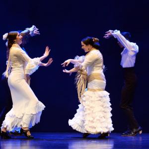 Fotografía de Proyecto Flamenco - Proyecto Flamenco