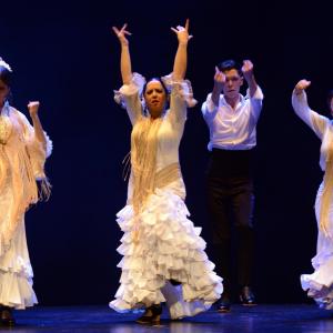 Fotografía de Proyecto Flamenco - Proyecto Flamenco