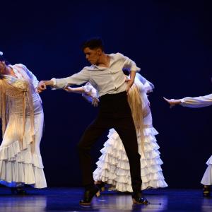 Fotografía de Proyecto Flamenco - Proyecto Flamenco