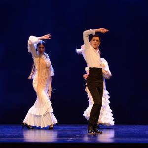 Fotografía de Proyecto Flamenco - Proyecto Flamenco