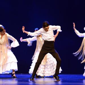 Fotografía de Proyecto Flamenco - Proyecto Flamenco