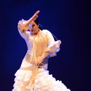 Fotografía de Proyecto Flamenco - Proyecto Flamenco